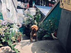 -知物癖(牛王庙店)