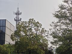 -西湖风景区-江洋畈生态公园