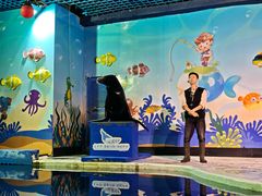 -太平洋海底世界