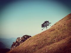 -萍乡武功山风景名胜区