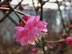 -北京鹫峰国家森林公园