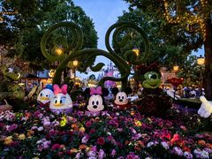 -上海迪士尼度假区