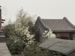 -北京凤凰岭