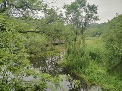 -西湖风景区-江洋畈生态公园