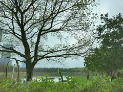 -艾溪湖湿地公园
