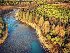 -上海海湾国家森林公园