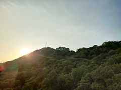 -紫金山天文台