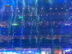 -成都浩海立方海洋公园