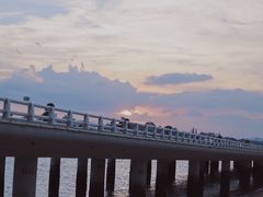 -演武大桥观景平台