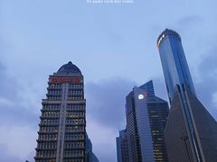 -陆家嘴中心绿地