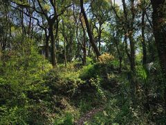 -中国铁路上海局集团有限公司杭州职工培训基地