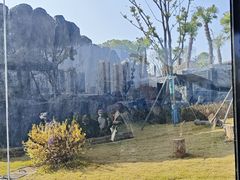 -武汉动物园