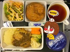 -新加坡航空公司(ION)