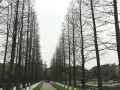 -圩墩遗址公园