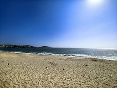 -林记海鲜排档·十年海鲜地标