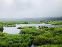 -腾冲北海湿地