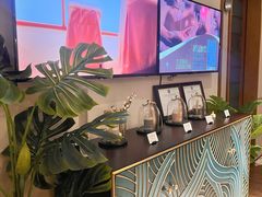 -OMSPA(盛景尚峰店)
