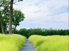 -汉长安城未央宫国家考古遗址公园