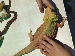 -上海昆虫博物馆