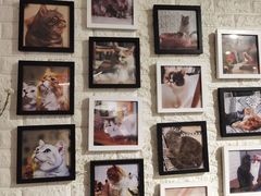-平行世界·猫咖(首经贸店)