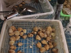 -和源祥·日照菜扛把子(万平口一店)