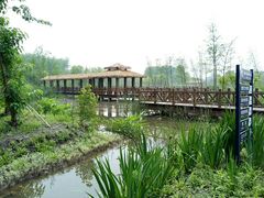 -溱湖国家湿地公园
