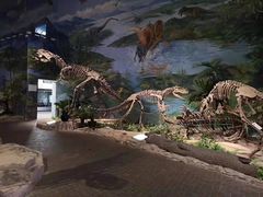 -自贡恐龙博物馆