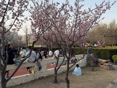 -郑州植物园