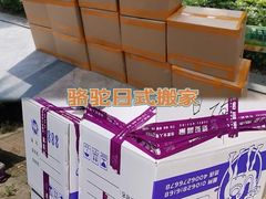 -骆驼日式搬家收纳整理