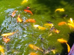 -上海城隍庙