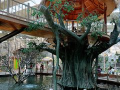 -南宫五洲植物乐园