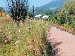 -潭柘厚院(桑峪村店)