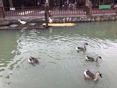 -香山小厨(南联路店)