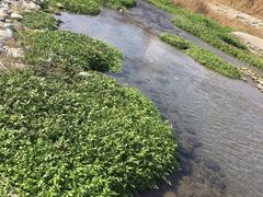 -海窝子古镇