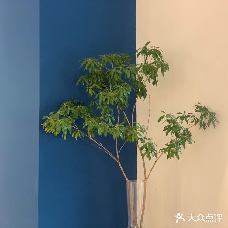 天津探店·法式甜品🍮✖️韩国🇰🇷ins风