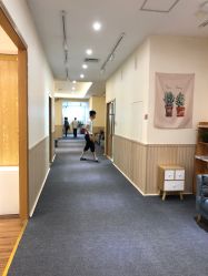 -芳妮豆丁家庭影像馆(宝安店)