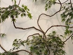 -耳艺采耳·足疗·按摩SPA(市桥店)