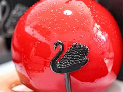 -BLACKSWAN黑天鹅(环球店)