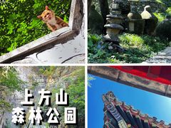 -北京上方山国家森林公园