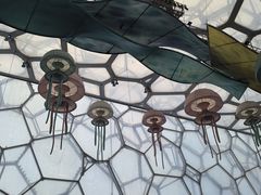 -水立方嬉水乐园