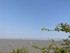 -上海滨江森林公园