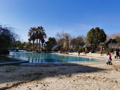 -上海东方佘山翰悦阁酒店·Vie全日制餐厅