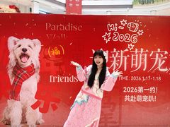 -龙湖南京江北天街
