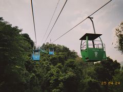 -野象谷景区
