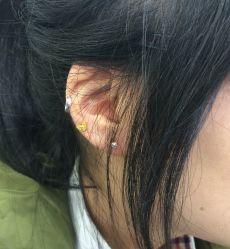 -花师傅