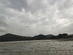-顺峰山公园