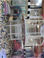 -多多淘儿童体验中心(重庆来福士店)