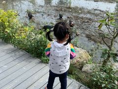 -洪湖家庭农场·团建·露营·会议
