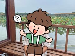-白洋淀景区