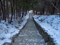 -香山公园